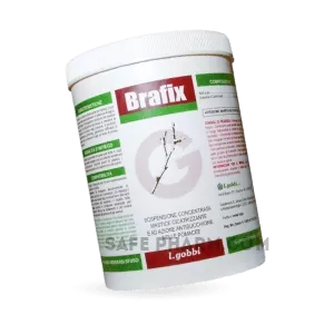 Buying_Brafix_online
